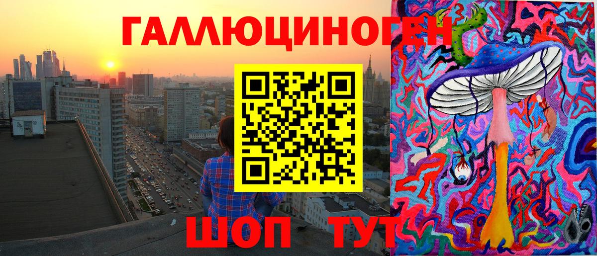 Ачхой-Мартан  Псилоцибиновые грибы ЛСД  Вход с VPN 