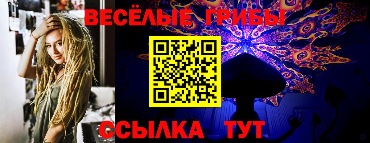 Псилоцибиновые грибы MAGIC MUSHROOMS Ачхой-Мартан