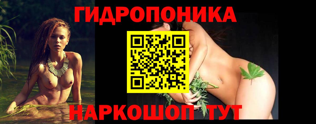 Каннабис MAZAR  Канабис тримм  Вход с VPN  Ачхой-Мартан 